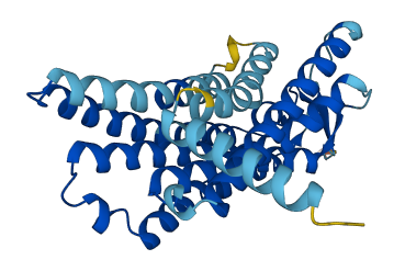 OR10A5 3D structure