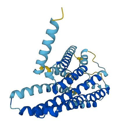 OR10A2 3D structure