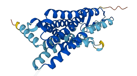 OR10A4 3D structure
