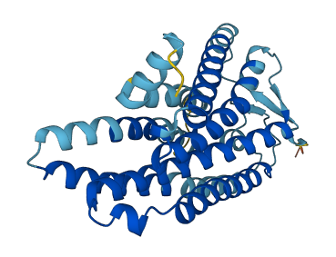 OR2D2 3D structure