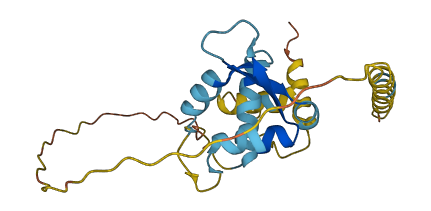 MAGEH1 3D structure