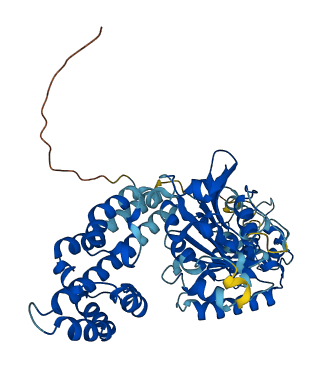 EHD4 3D structure