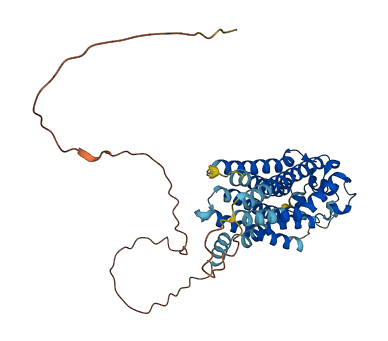 S1PR5 3D structure