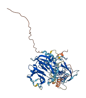 MMP28 3D structure