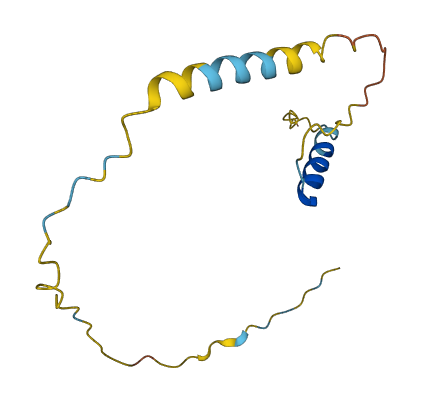 C1orf21 3D structure