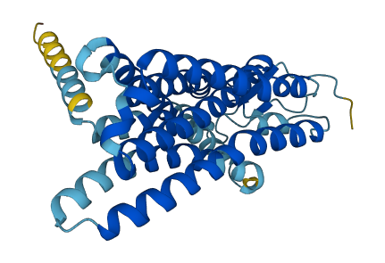 OR51E2 3D structure