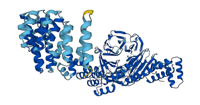 VPS16 3D structure