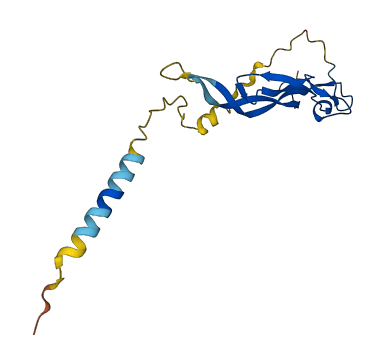 IL25 3D structure