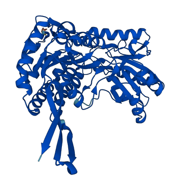 ALDH8A1 3D structure