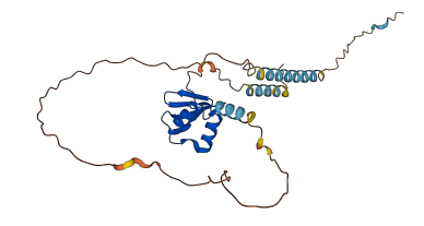 CXCL16 3D structure