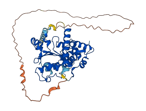 CHST8 3D structure