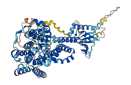 SLC26A1 3D structure