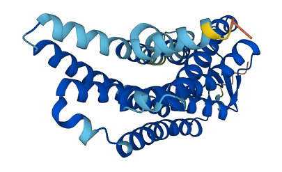 OR52A5 3D structure