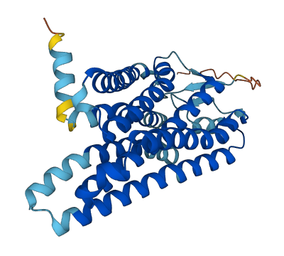 OR51V1 3D structure