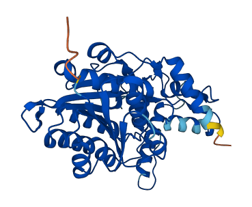 HSD3B7 3D structure