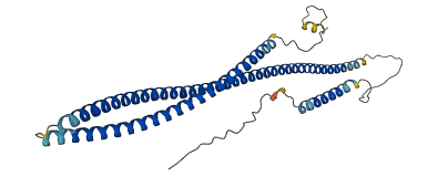 CCDC68 3D structure