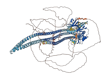 SLK 3D structure