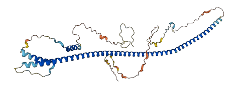 BLZF1 3D structure