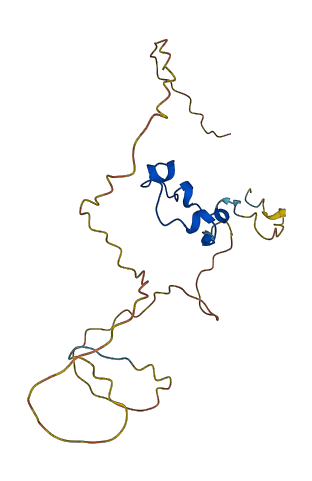 CXXC4 3D structure