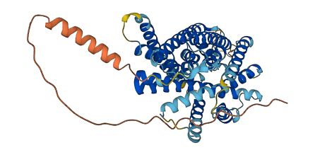 SLC38A1 3D structure