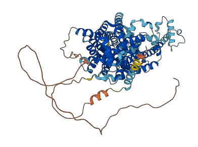 SLC6A15 3D structure