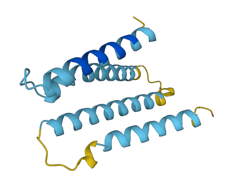 TMEM60 3D structure