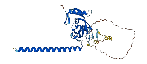 RASSF4 3D structure