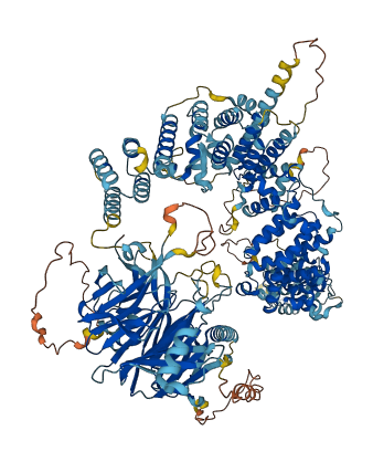 RAB3GAP2 3D structure