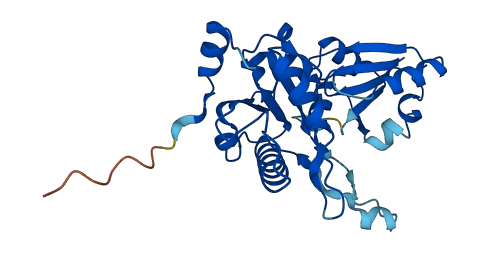 DPH5 3D structure