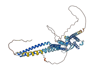 KCNN2 3D structure
