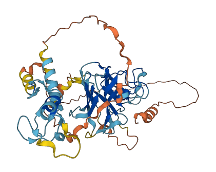 RNF39 3D structure