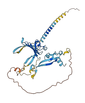 TNMD 3D structure