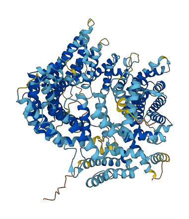 RANBP17 3D structure