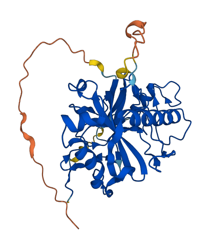 PPA2 3D structure