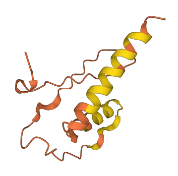 LINC00597 3D structure