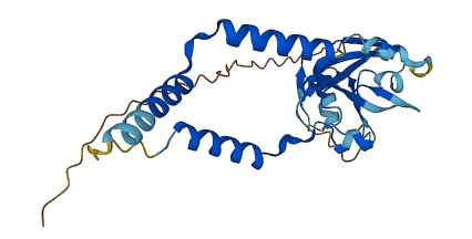 MRPL46 3D structure