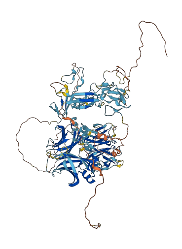 CHRD 3D structure
