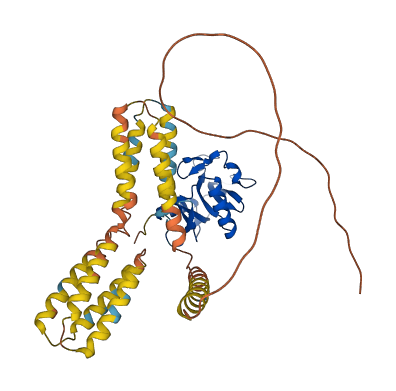 CLEC4M 3D structure