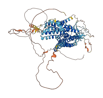 SLCO5A1 3D structure