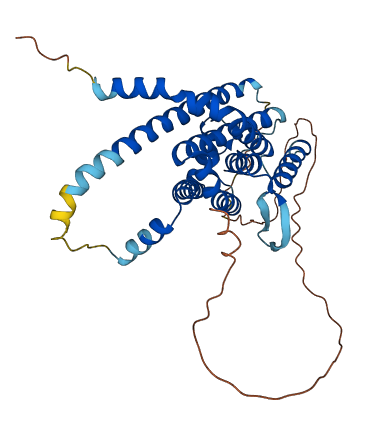 PARL 3D structure