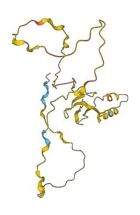CDIP1 3D structure