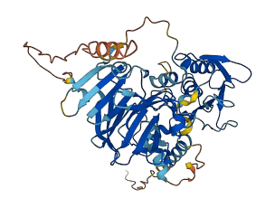 MMP27 3D structure