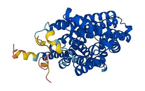 RHBG 3D structure