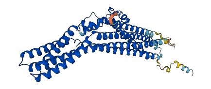 TTYH1 3D structure