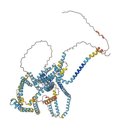 TMEM245 3D structure