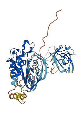 CRISPLD1 3D structure