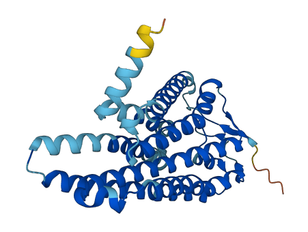 OR51B5 3D structure