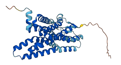 OR51M1 3D structure