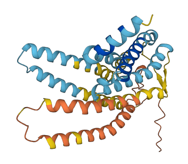 OR51J1 3D structure