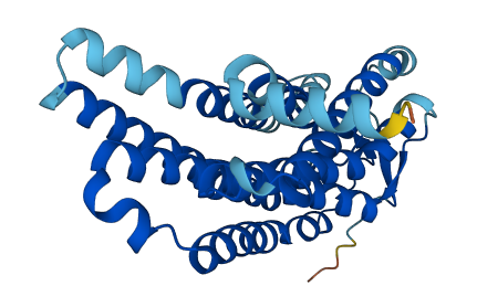 OR51I2 3D structure